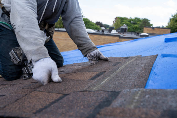 Best Commercial Roofing Services  in Basehor, KS