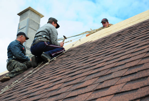 Best Roof Maintenance Services  in Basehor, KS